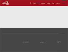 Tablet Screenshot of meysamsarir.com